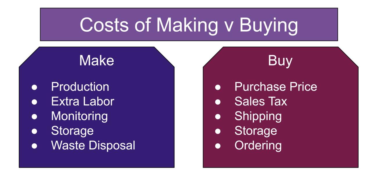 Make or Buy? How to Make a Strategic Decision For Your Project ... Where to Buy Professional Salon Products Online