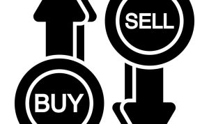 Where to Buy Cruelty Free Beauty Brands Online