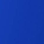 Best Supplement For Candida For A Healthier You