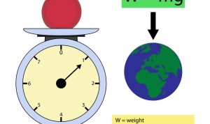 Weight loss supplement pills for effective results Weight loss supplement pills for effective results