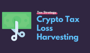 Koinly Portfolio Tracker Automated Tax Reports for International Users