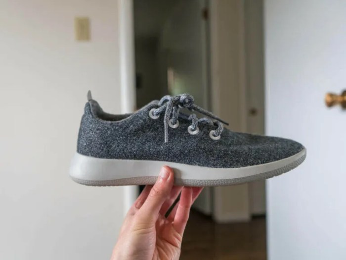 Allbirds Wool Runners Testing the Sustainability of This Travel Sneaker