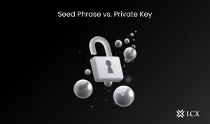 PuriKey Review USB-Style Security for Your Private Crypto Keys