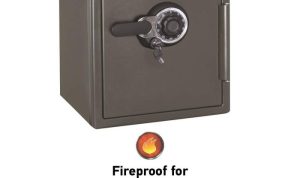 SentrySafe SFW123DSB Fireproof Safe Protecting Documents