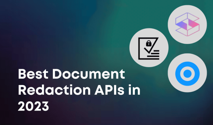 Redactable AI Reviewing the Best Automated Document Redaction for Privacy