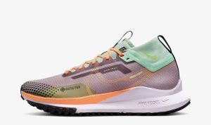 Nike Pegasus Trail 5 Reviewing the Road-to-Trail Performance