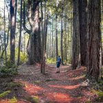 Grayl Geopress Testing Global Water Safety for Adventurers