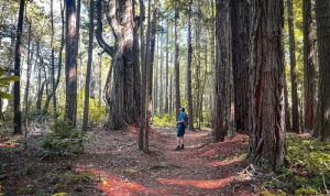 Grayl Geopress Testing Global Water Safety for Adventurers