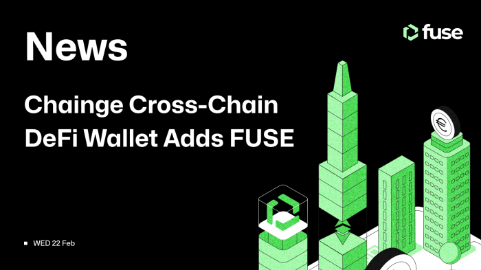 Crypto.com DeFi Wallet Non-Custodial Storage with Staking Rewards Review