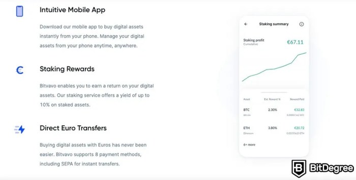 Bitvavo Exchange A Comprehensive Review of Europes Leading Platform