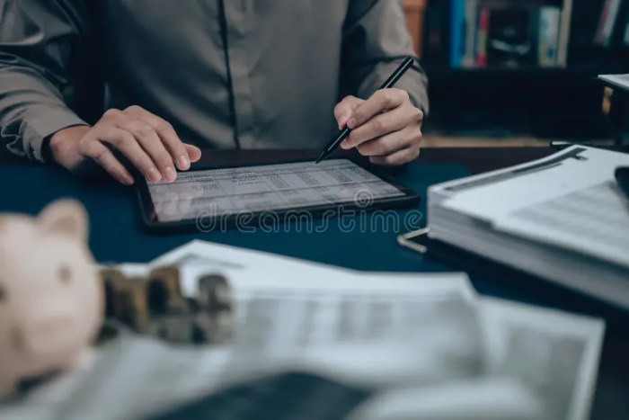 Stessa Asset Management Tool Financial Performance Tracking for Investors Review