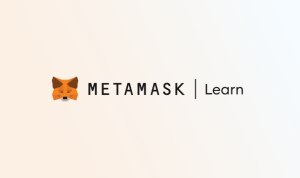 MetaMask Learn Is This the Best Educational Platform for Web3 Beginners?
