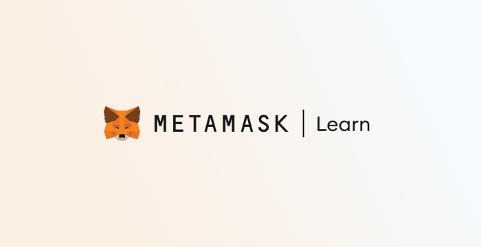 MetaMask Learn Is This the Best Educational Platform for Web3 Beginners?