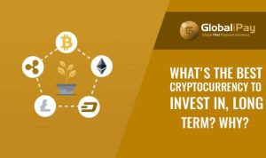 Cryptocurrency to invest in long term opportunities await