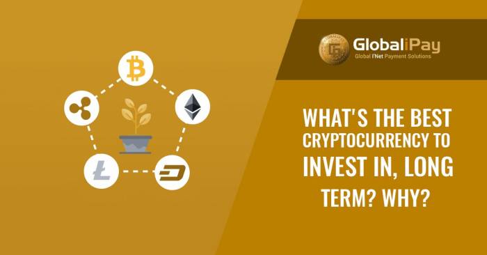 Cryptocurrency to invest in long term opportunities await