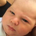 Journeys At The Greene A Deep Exploration Of Narratives