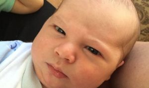 Journeys At The Greene A Deep Exploration Of Narratives