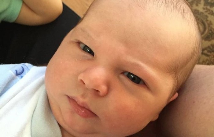 Journeys At The Greene A Deep Exploration Of Narratives