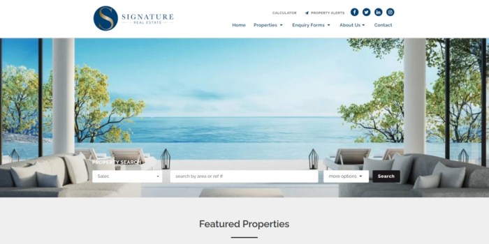 Real Estate Agents South Africa Your Guide To Success