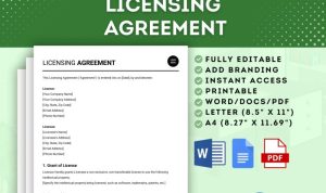Licensing agreements lawyer your key to business success