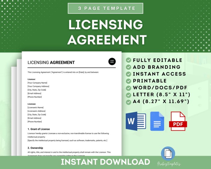 Licensing agreements lawyer your key to business success