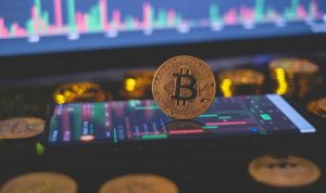 Shoes Beginning With S Discover Your Perfect Pair