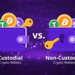 Crypto.com DeFi Wallet Non Custodial Storage Review