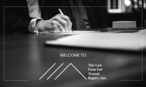 tenant lawyer louisville ky Expert Legal Support Awaits