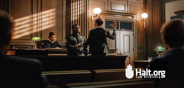 Self Representation Program in Divorce and Family Courts | Fathers ... Free representation in family court