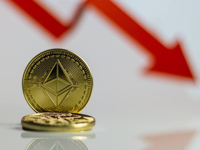 Pro Bono Housing Lawyers Near Me For Your Needs