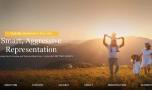 legal aid houston tx divorce Empowering Your Journey