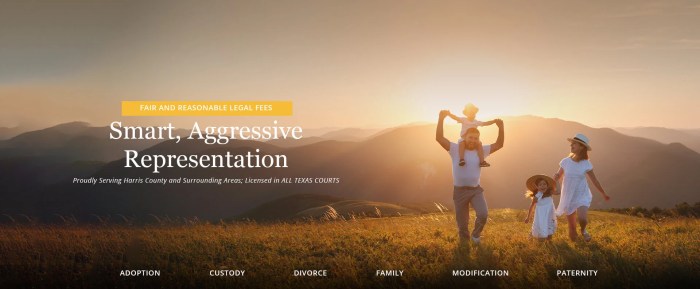 legal aid houston tx divorce Empowering Your Journey