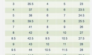 Size Footwear Shop Discover Your Perfect Fit Today