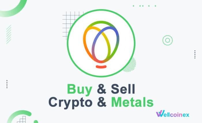 Gucci Ace Embroidered Leather Sneakers Unveiled