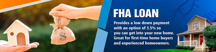 When Can You Drop Mortgage Insurance on an FHA Loan? Fmha real estate mortgage
