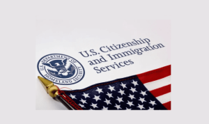 Immagration Law Navigating The Complexities Of Entry