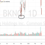 bokng An Exploration of Its Origins and Impact