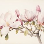 Magnolia Beautiful The Charm Of Natures Bloom
