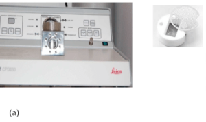 Sample preparation for scanning electron microscope