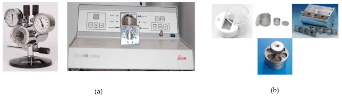 Sample preparation for scanning electron microscope