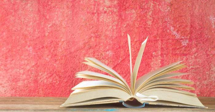 Pro Bono Lawyers For Landlord Tenant Assistance